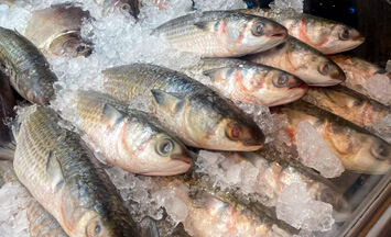 peixes inteiros