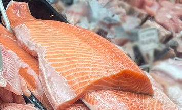 salmão